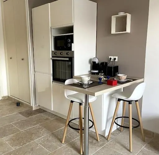 Daire Confortable T2, Parking Prive Dans Securisee Villeneuve-Loubet